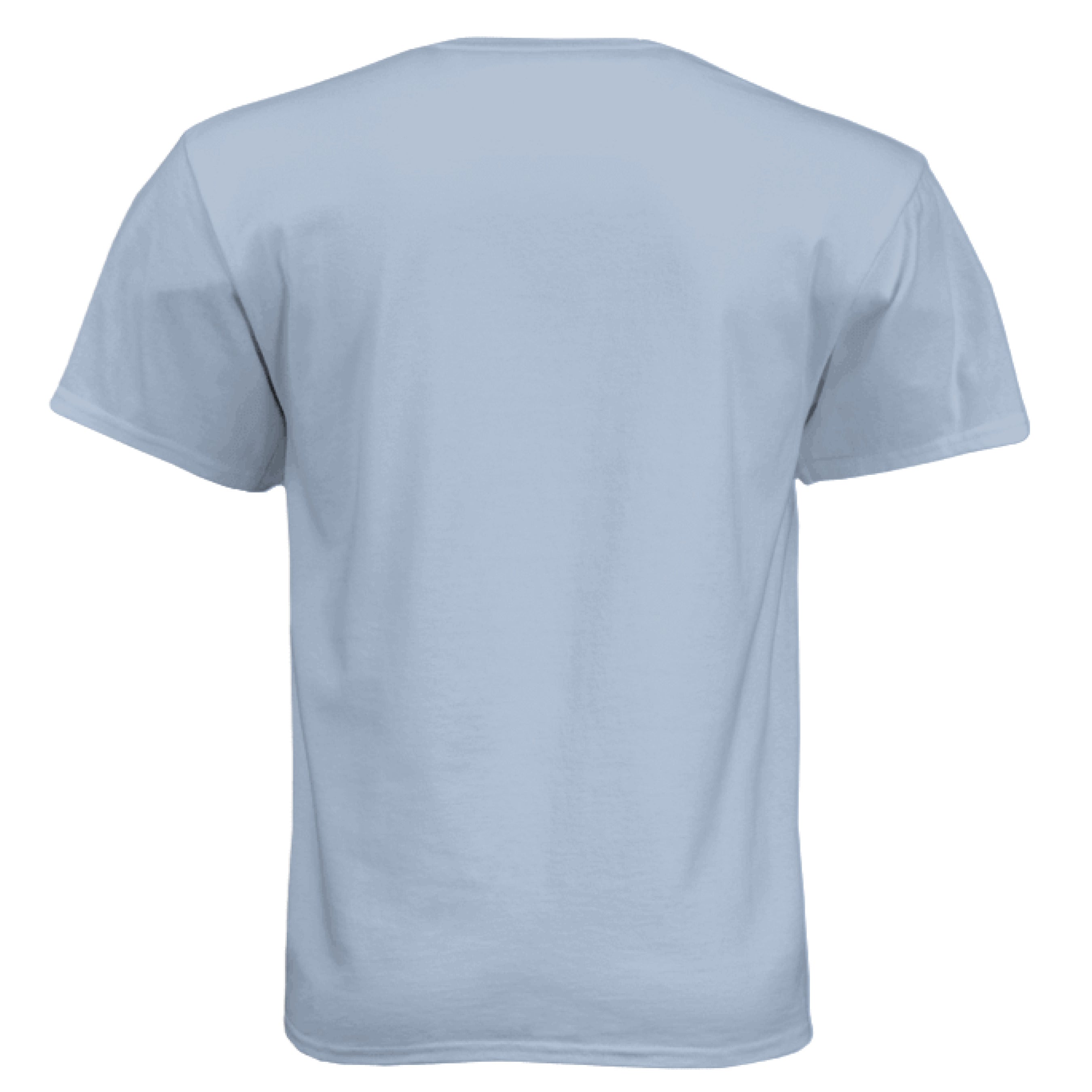 Vintage Stonewash Denim - BACK